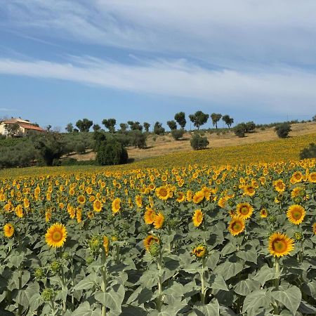 Апартаменти Girasole San Marcello  Екстер'єр фото